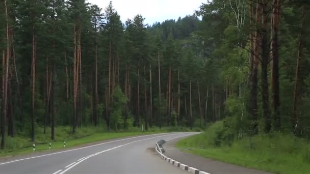 Neue Straßen in der Region Altai. Russland. — Stockvideo