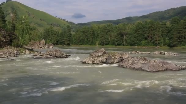 Panorama van de berg rivier katun. kraj Altaj. Rusland. — Stockvideo
