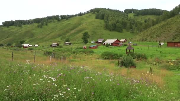 Панорама деревянных зданий в горах. Разведение оленьих и роговых бань в Алтайском крае . — стоковое видео