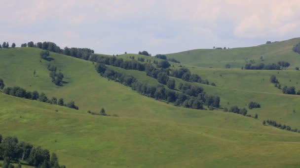 Panorama Altajské hory mount krvavé prstu. Rusko. — Stock video