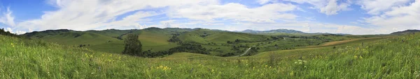 Summer Panorama of Altai mountains. Russia. — Stock Photo, Image