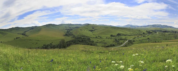 Sommer-Panorama des Altai-Gebirges. Russland. — Stockfoto