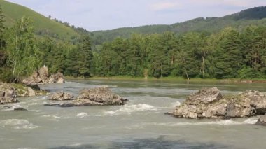 güzel yaz manzara dağ nehir katun. Altay Kray. Rusya.