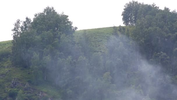 Humo sobre un fondo de lluvia en las montañas. Altai Krai. Rusia . — Vídeo de stock