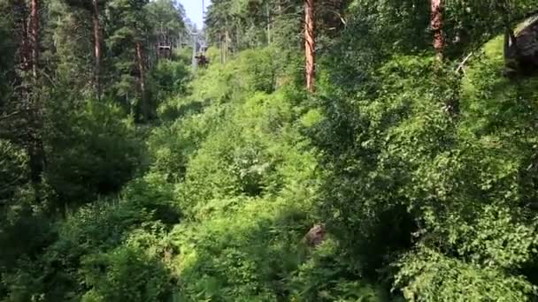 Krásné vegetace na svahu hory tserkovka v belokurikha. Altajském kraji. Rusko. — Stock video