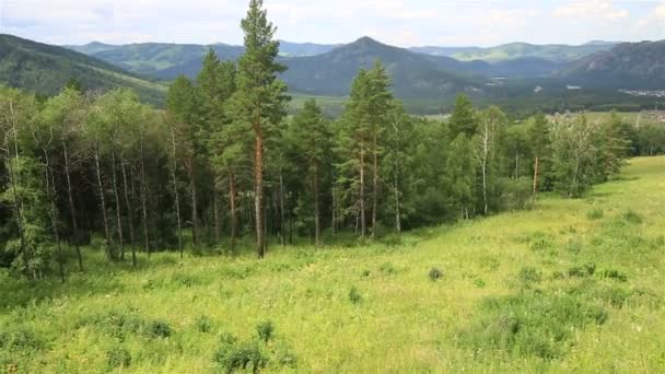 Vackra landskapet i Altajbergen från mount grunt sinyuha. — Stockvideo