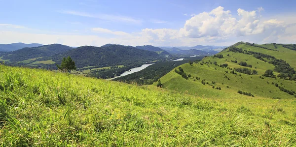 Beautiful summer panorama of the Altai mountains and the river K — Stock Photo, Image