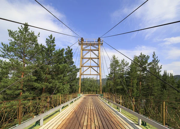 Suspension bridge on a mountain river Katun. — Stock Photo, Image