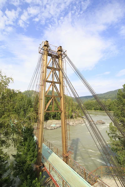 Suspension bridge between the islands on river Katun. — Stock Photo, Image