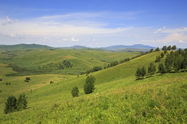 Beau paysage estival des montagnes de l'Altaï . — Photo