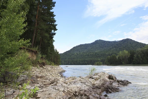 Bella montagna rocciosa fiume Katun. — Foto Stock