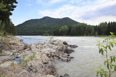 kayalık dağ nehir katun.