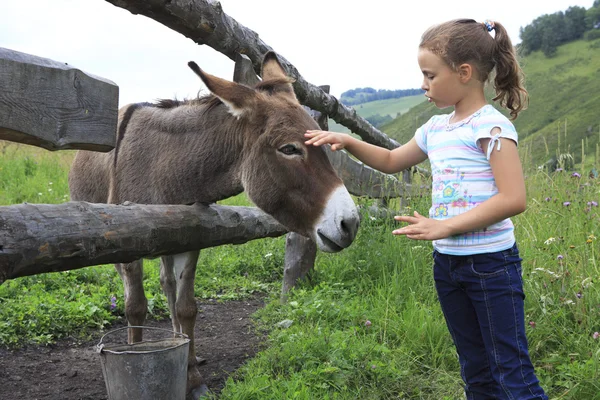 小女孩温柔地抚摸着一只驴子. — 图库照片