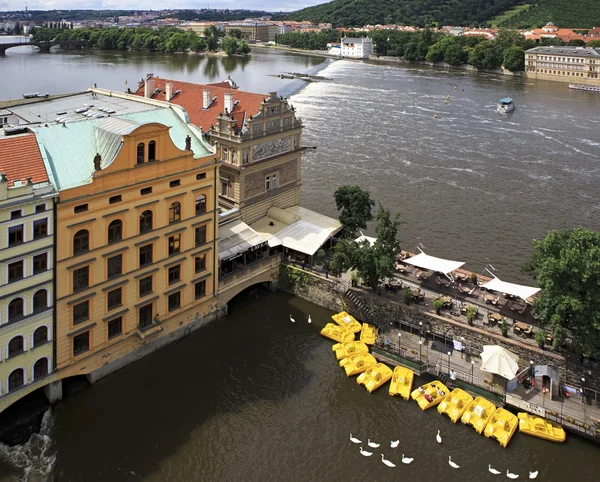 Catamarans en zwanen op de rivier vltava in Praag. — Stockfoto