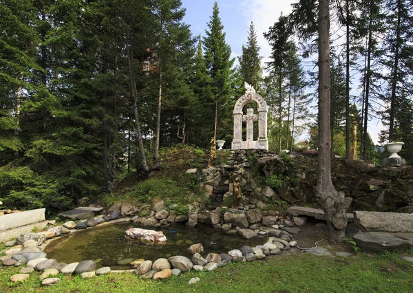 Território Altai Crown. Ilha do Fir no rio Katun . — Fotografia de Stock