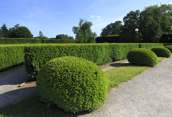 Various forms of shrubbery clippers. — Stock Photo, Image