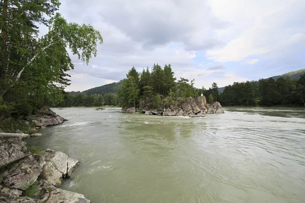 Isola nel mezzo di un fiume di montagna Katun . — Foto Stock