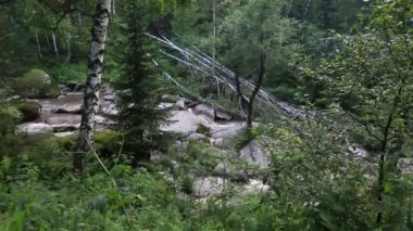 belokurikha dağ Altay Kray nehirde. Rusya.