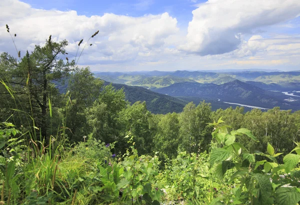 View from Mount Small Sinyuha. Beautiful summer landscape. — Stock Photo, Image