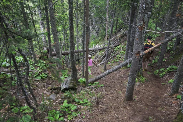 Enfant et papa marchent dans la forêt . — Photo