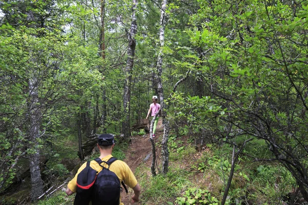 Criança e pai caminham na floresta . — Fotografia de Stock