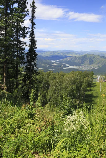 Beau paysage d'été. Vue depuis le Mont Petit Sinyouha . — Photo