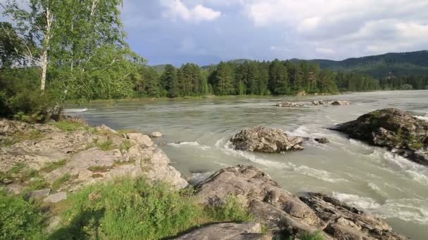 Schöne Sommerlandschaft Gebirgsfluss Katun. altai krai. Russland. — Stockvideo