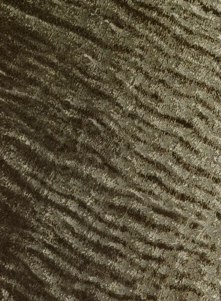 Textura de tejido fibroso —  Fotos de Stock