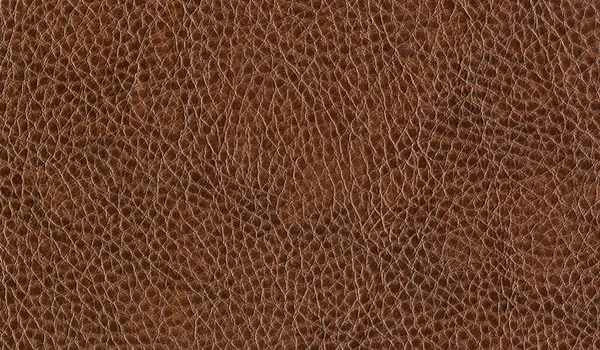 Leather texture — Stock Photo, Image