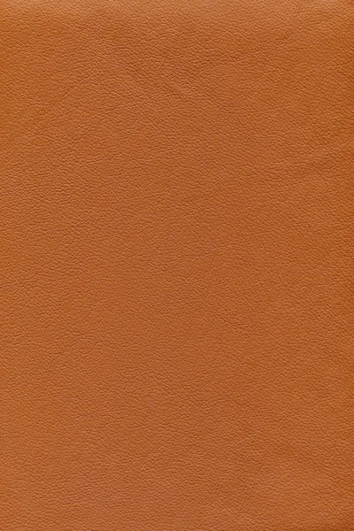 Leather texture — Stock Photo, Image