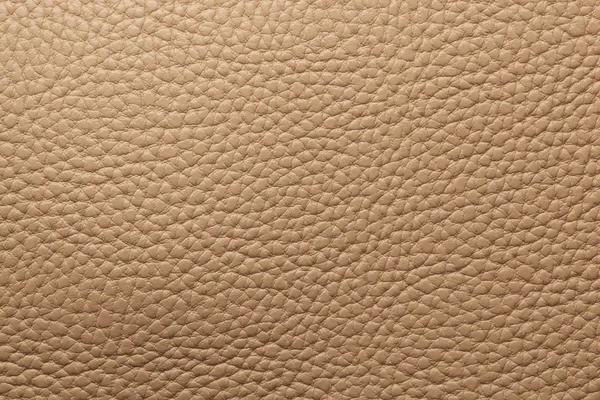 Leather texture background — Stock Photo, Image