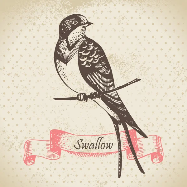 Tragar pájaro, ilustración dibujada a mano — Vector de stock