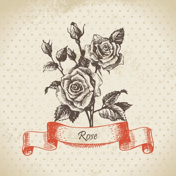 ¡Rose! Diseño vintage dibujado a mano — Archivo Imágenes Vectoriales