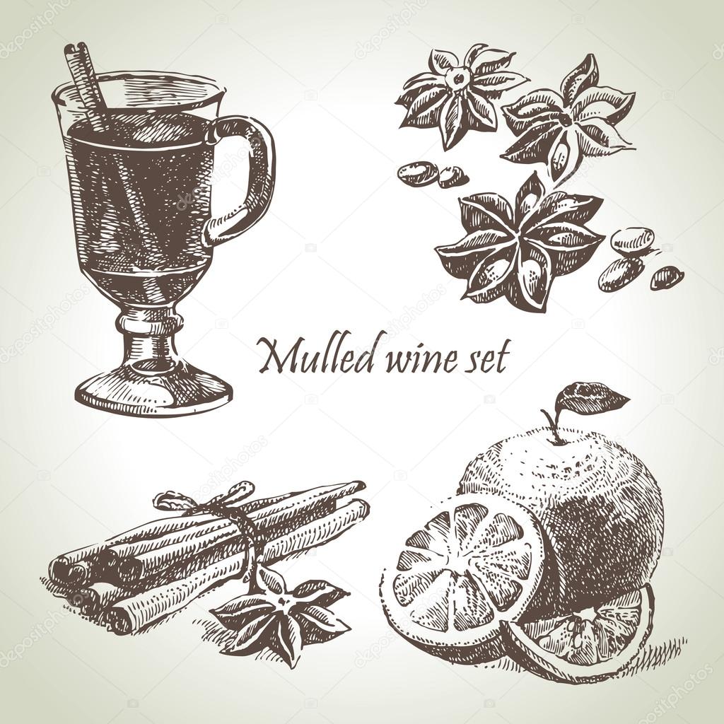 Set of mulled wine, fruit and spices, hand drawn illustrations Stock