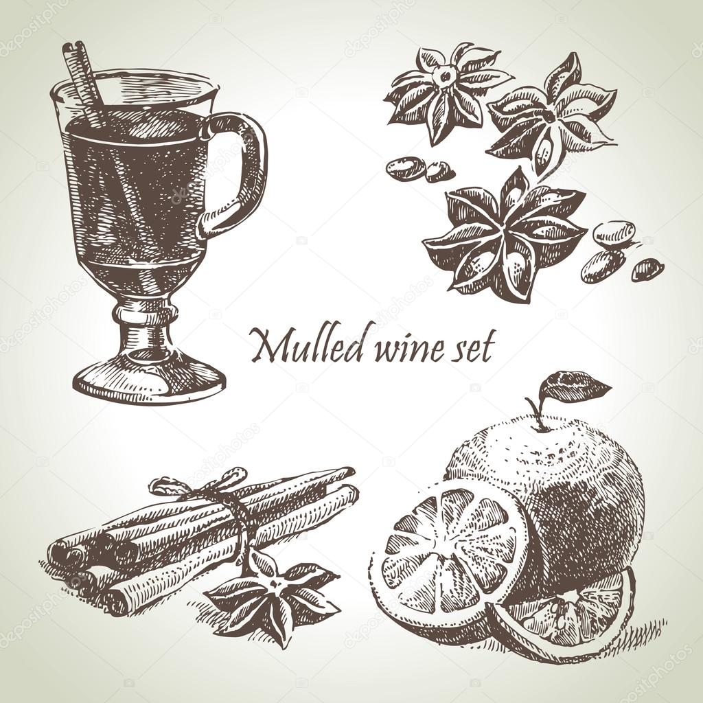 Set of mulled wine, fruit and spices, hand drawn illustrations