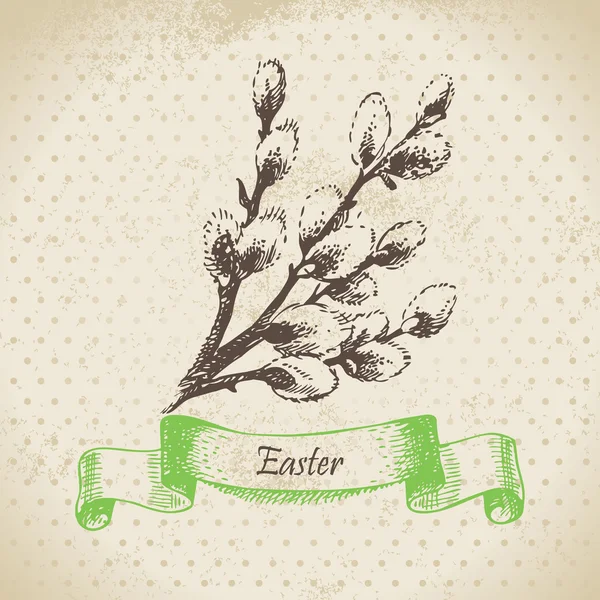 Vintage Easter background with pussy-willow. Hand drawn illustra — Stock Vector