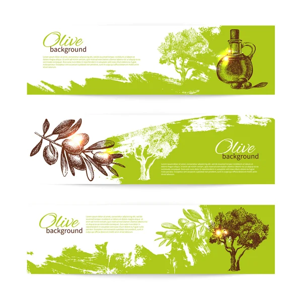 Banner Set von Vintage Oliven Hintergrund Splash Hintergründe — Stockvektor