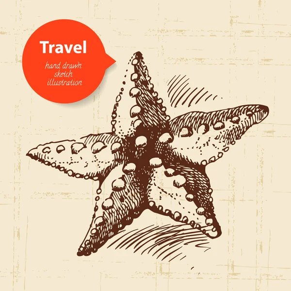 Vintage travel background with starfish. Hand drawn illustration — Stock Vector