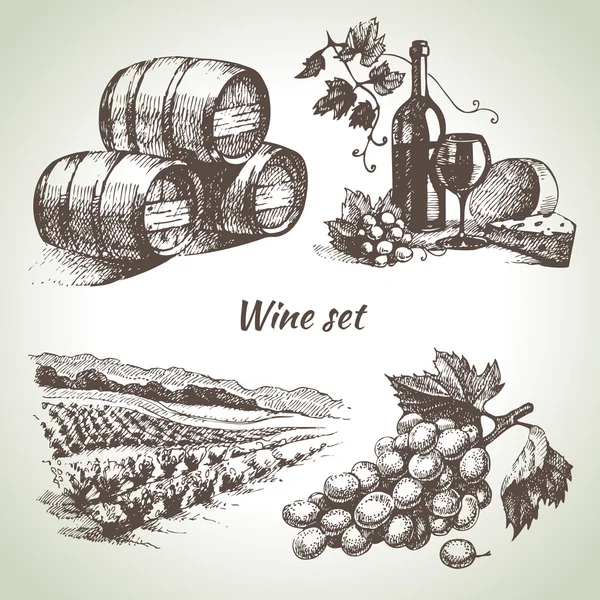 Ensemble de vin vectoriel dessiné à la main — Image vectorielle