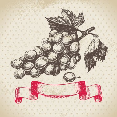 Wine vintage background with grapes. Hand drawn illustration clipart