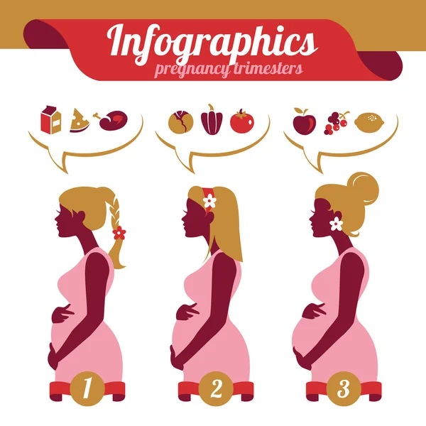 Infografica dei trimestri di gravidanza. Silhouette di donne incinte — Vettoriale Stock