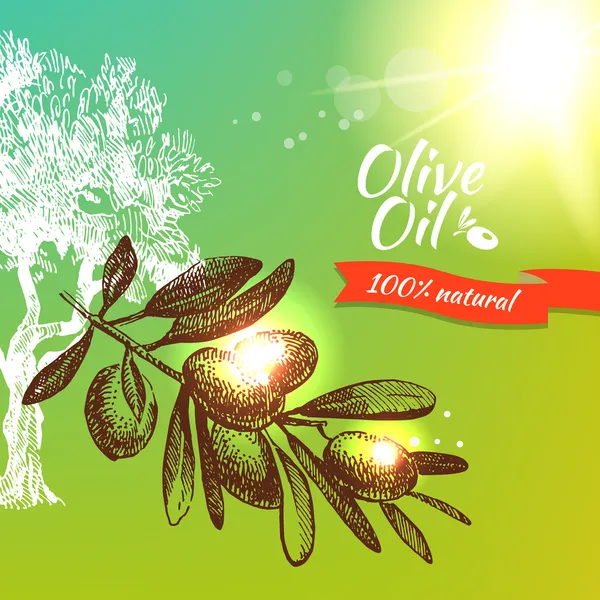 Sfondo oliva vintage. Illustrazione disegnata a mano — Vettoriale Stock
