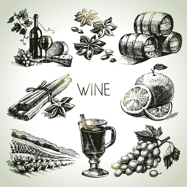 Hand drawn vector wine set