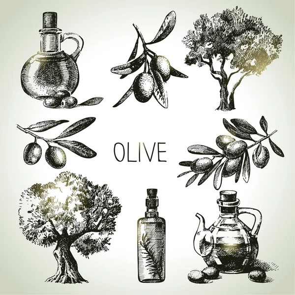 Hand drawn olive set — Stock Vector