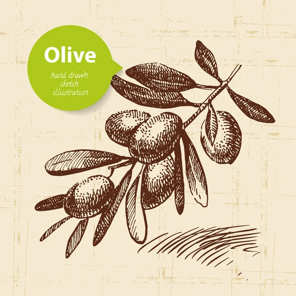 Fond olive vintage. Illustration dessinée main — Image vectorielle