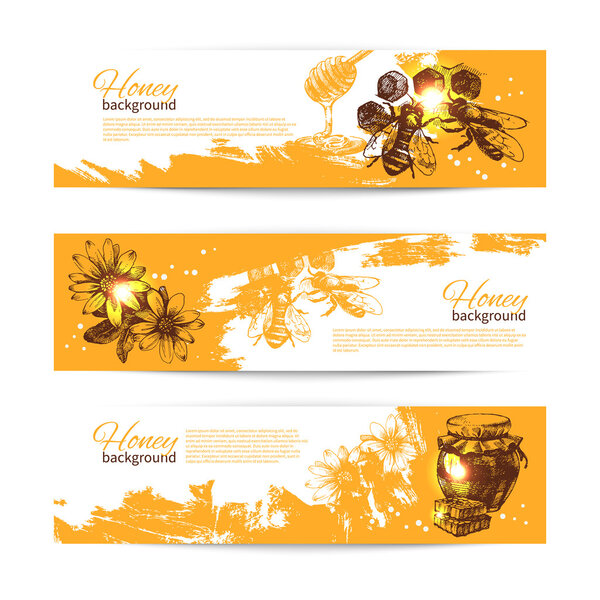 Set of honey banners with hand drawn sketch illustrations