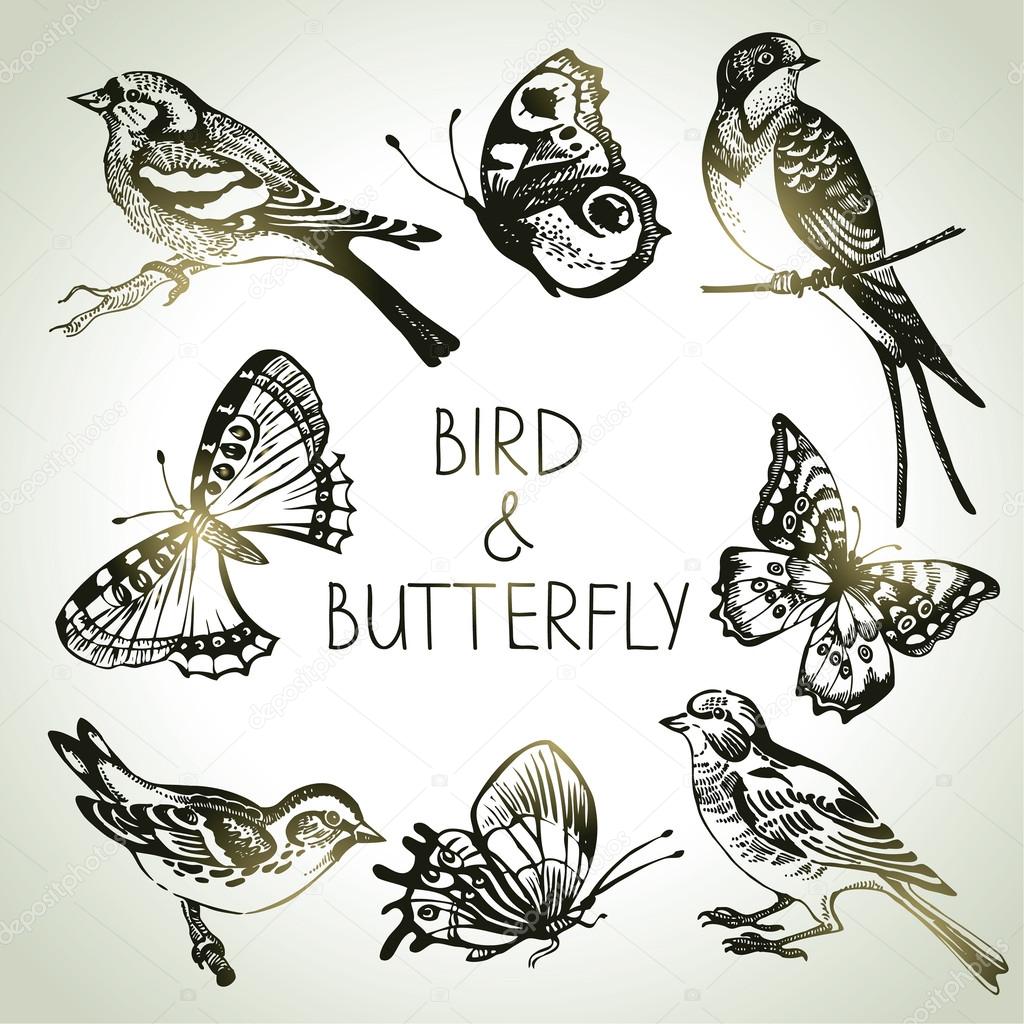 Bird and butterfly set, hand drawn illustrations — Stock Vector