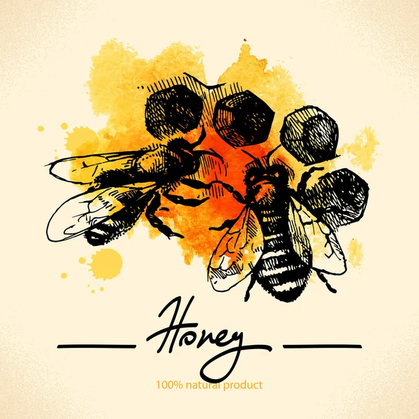 Miel fond avec croquis dessiné à la main — Image vectorielle