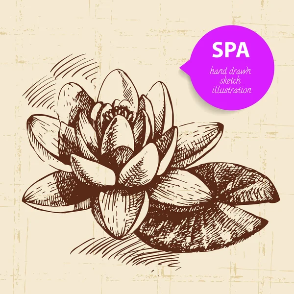 Fond du spa . — Image vectorielle