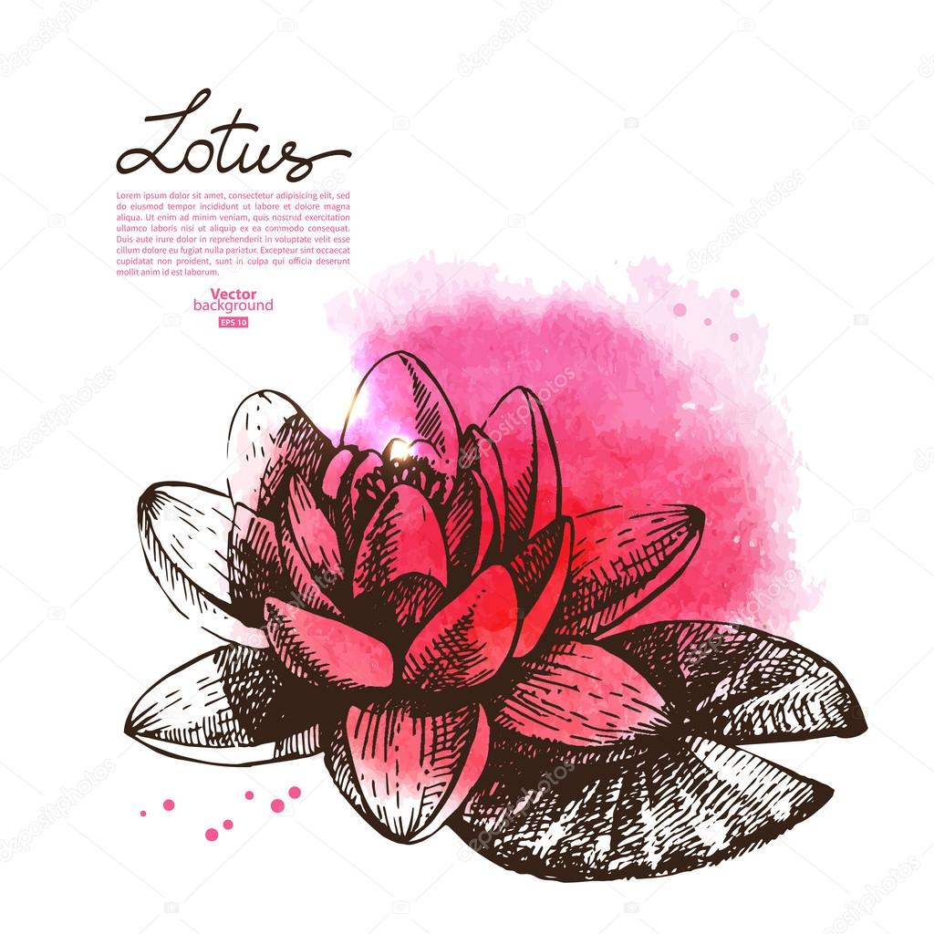 手描きの背景美しい蓮の花をスケッチ ストックベクター C Pimonova